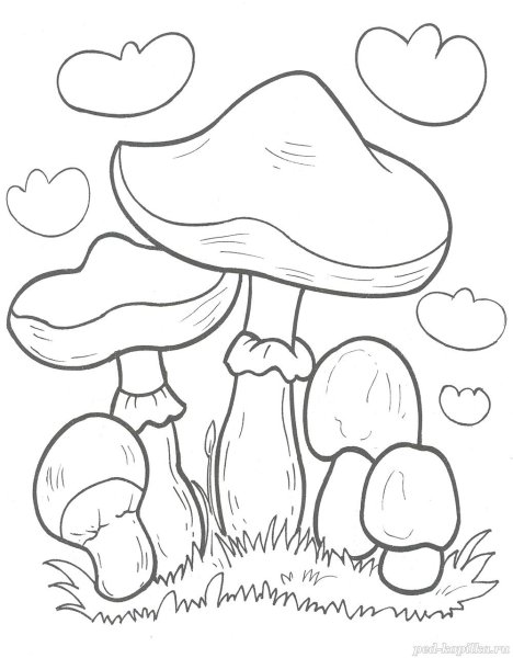 Грибы опята раскраска для детей