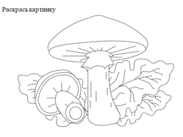 Гриб масленок раскраска для детей