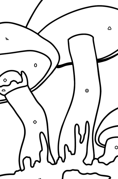 Маслята раскраска