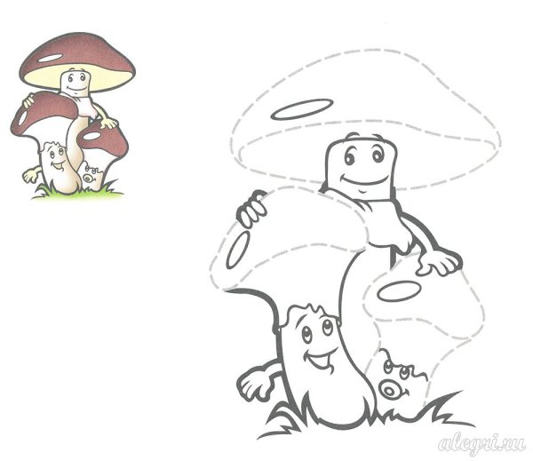 Масленок раскраска для детей