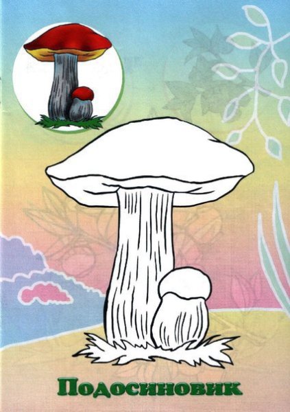 Гриб раскраска
