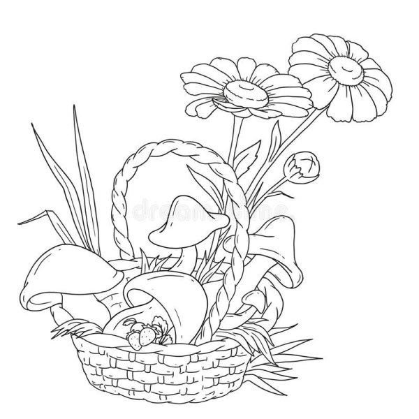 Раскраска корзина с грибами и ягодами