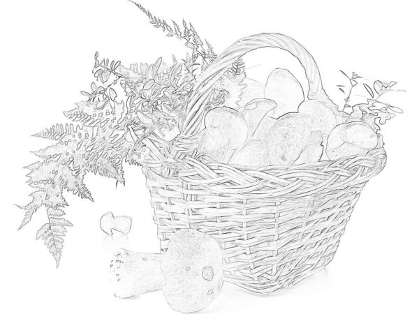 Корзина с грибами раскраска