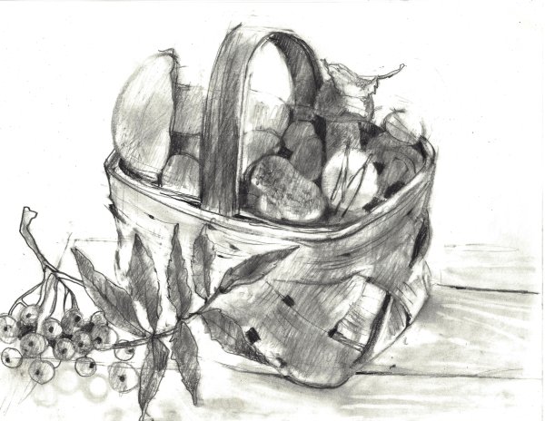 Нарисовать корзину с грибами