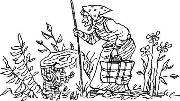 Сказка пень Катаев