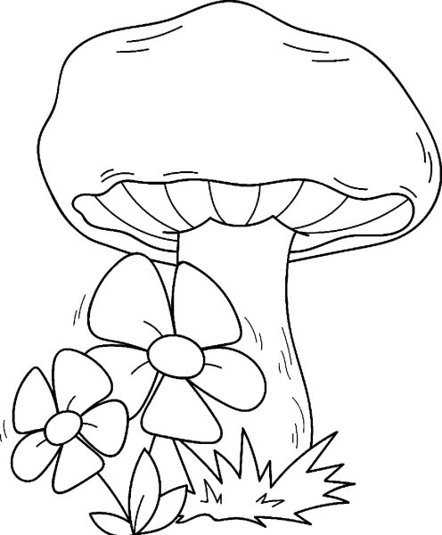 Раскраска грибы для детей 6-7 лет