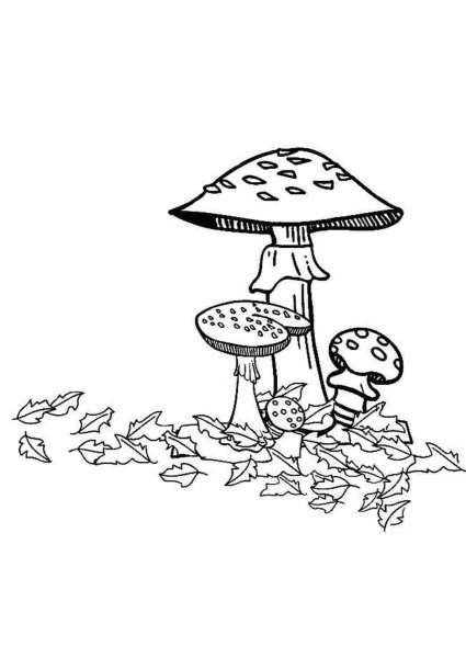 Девочка с шляпкой мухомора распечатать