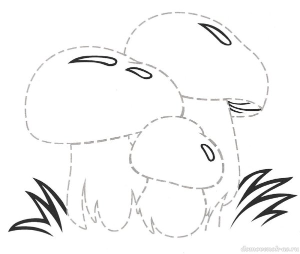 Штриховка грибы для дошкольников