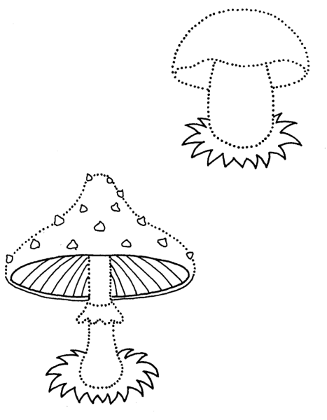 Гриб по точкам обвести