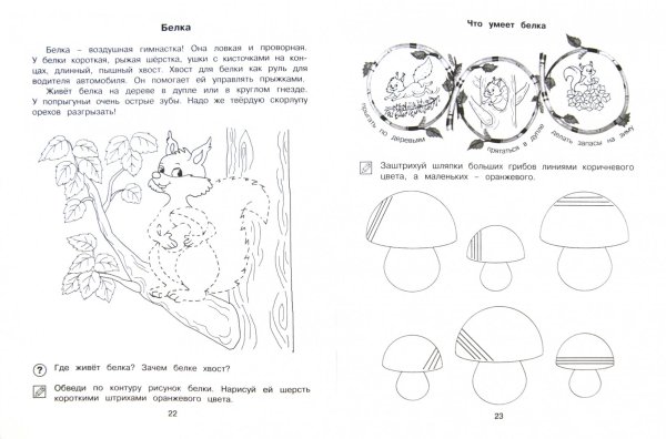 Штриховка по теме грибы для дошкольников