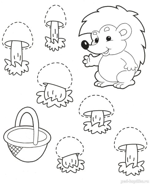 Задания для детей на тему грибы