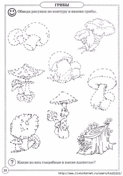 Грибы обведи и раскрась