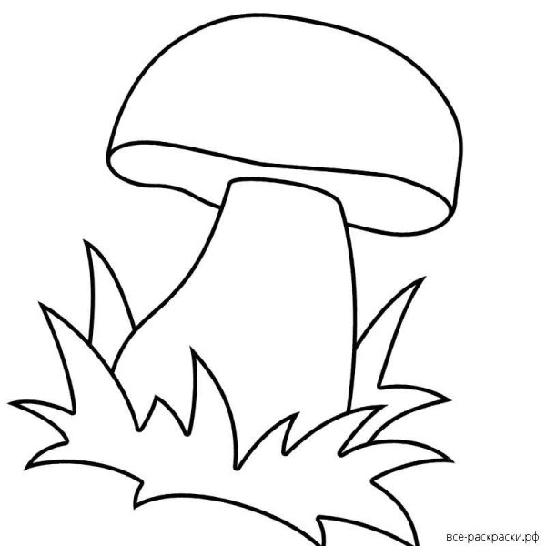 Белый гриб Боровик раскраска