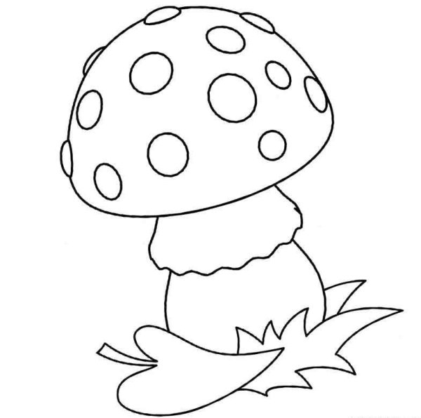 Мухомор раскраска для детей