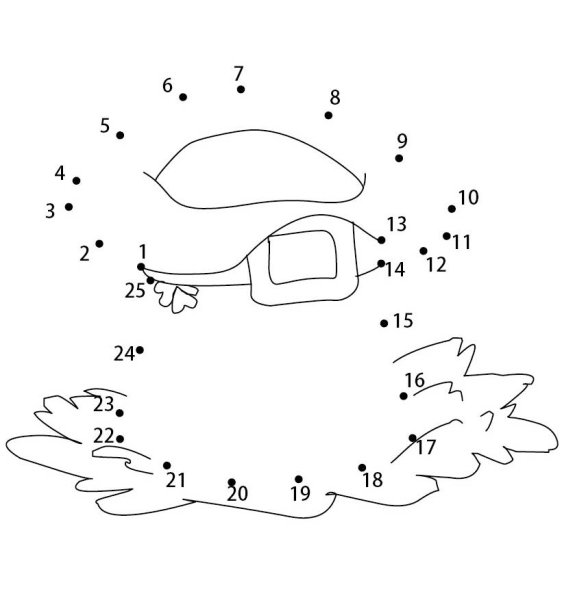 Рисунок по цифрам грибы