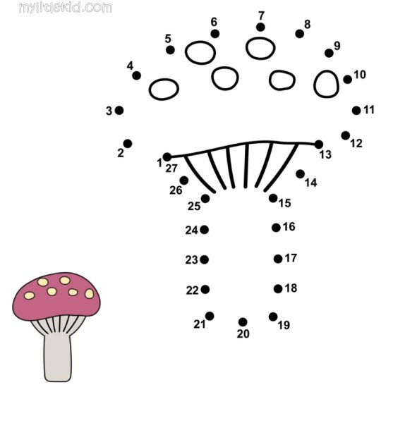 Гриб по точкам с цифрами