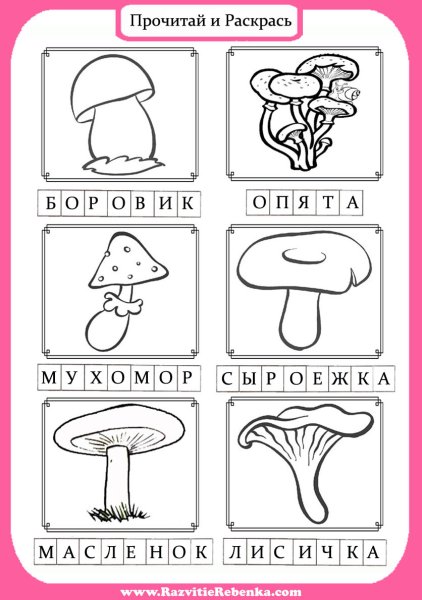 Грибы съедобные и несъедобные задания для дошкольников