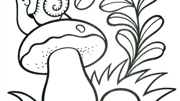 Грибок с улиткой раскраска