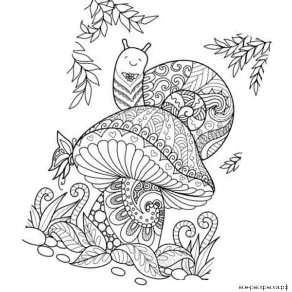 Раскраска антистресс улитка