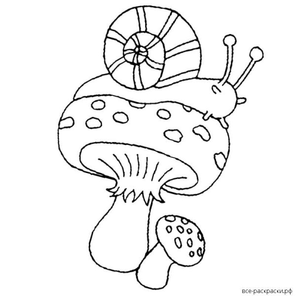 Улитка на грибе раскраска