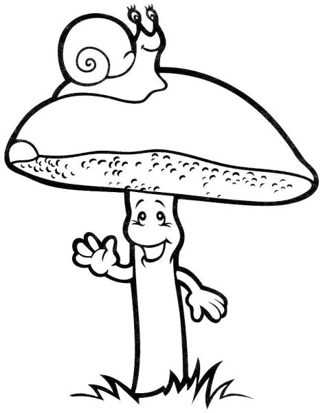 Раскраска гриб моховик