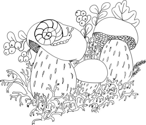 Улитка на грибе раскраска