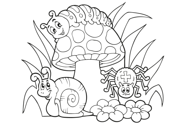 Грибок с улиткой раскраска