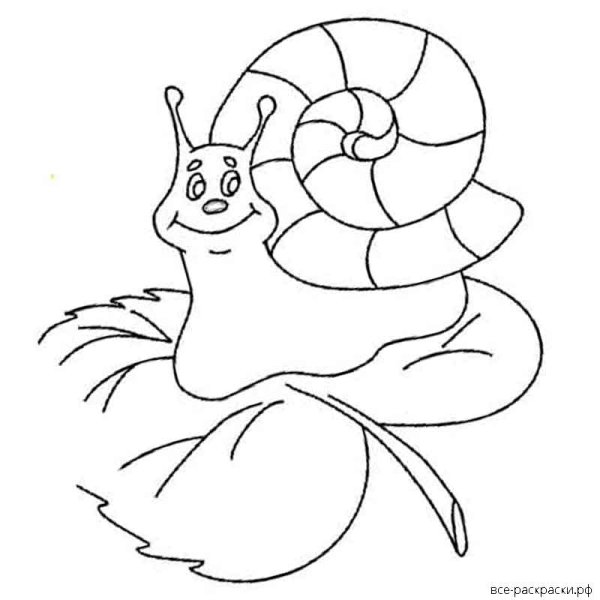 Улитка раскраска для детей 4-5 лет