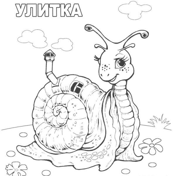 Улитка катушка раскраска