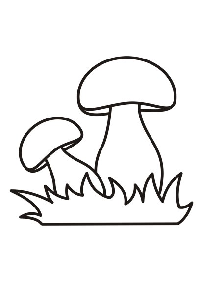 Гриб Боровик раскраска