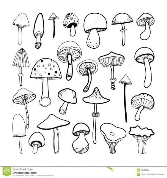 Мини зарисовки грибы