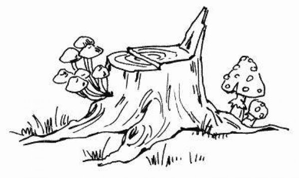 Пенек раскраска для детей