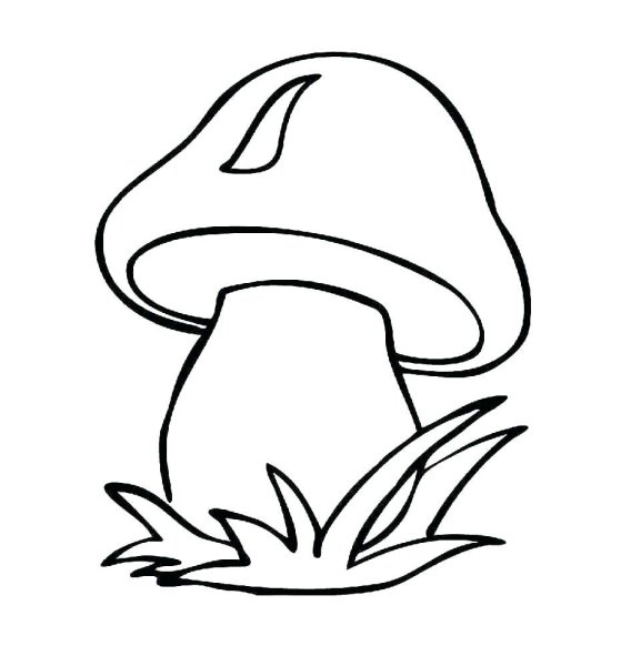Раскраска гриб шампиньон