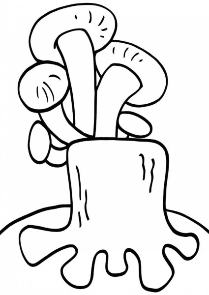 Раскраска гриб ложные опята