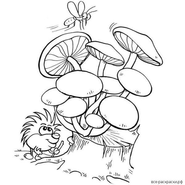 Опенок осенний раскраска