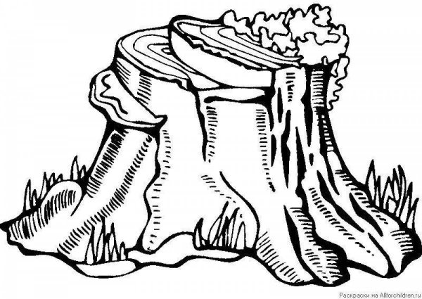 Пень раскраска