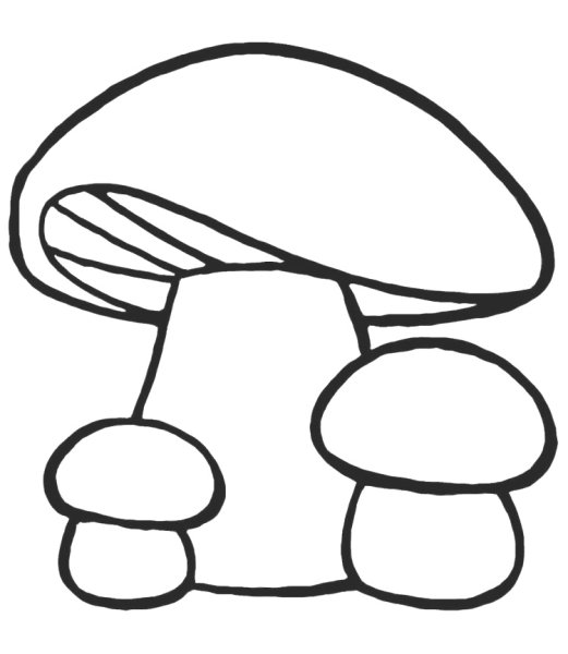 Грибы раскраска для детей