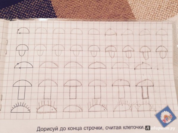 Нарисуй по клеточкам гриб