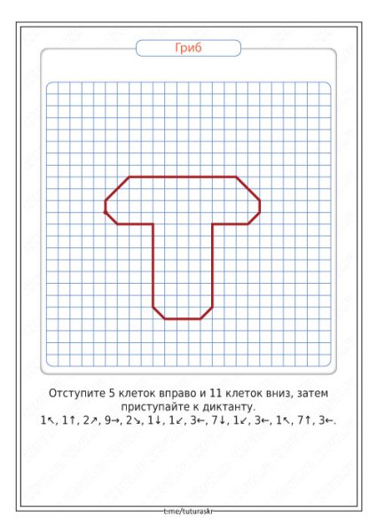Графический диктант гриб
