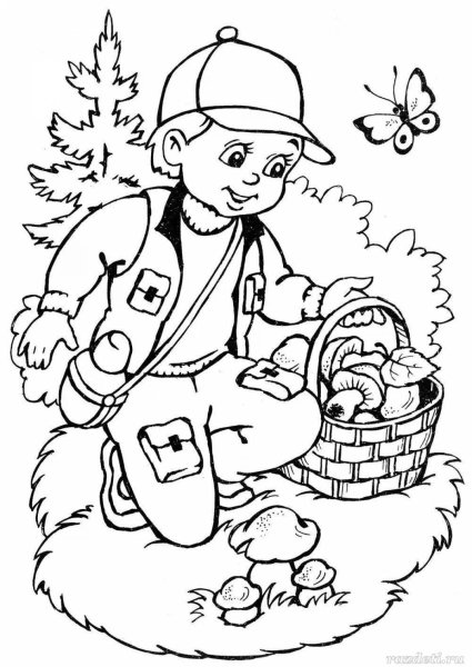 Грибы в лесу раскраска для детей