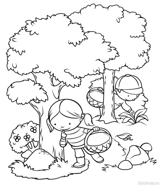 Раскраска грибы в лесу