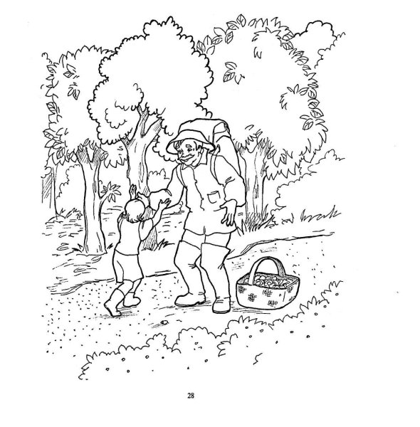 Заблудился раскраска