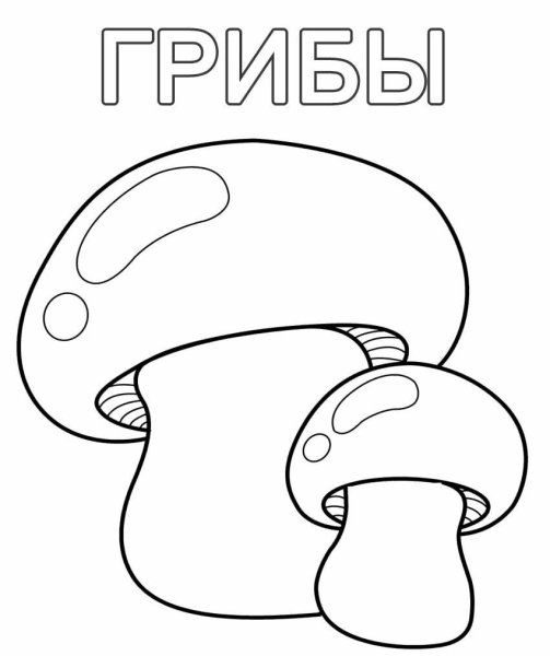 Ягоды грибы раскраски для малышей