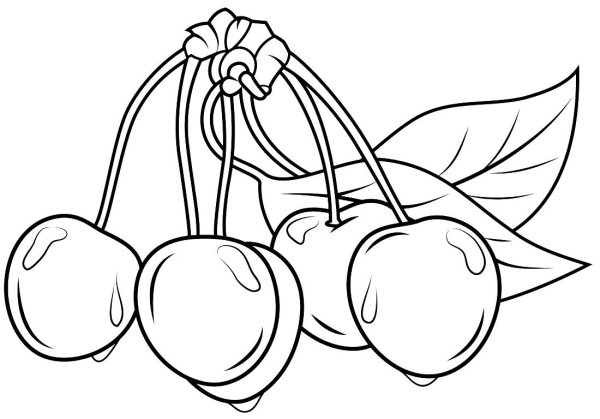 Раскраска "ягоды"