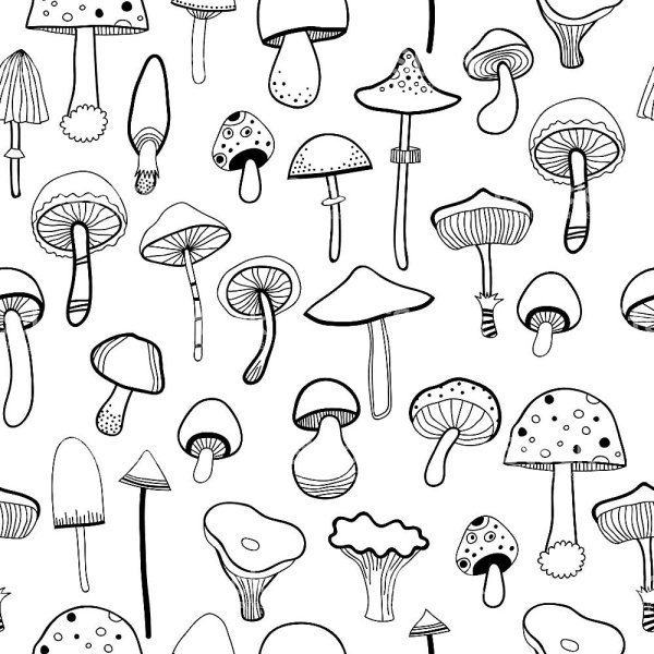 Грибы много раскраска для детей