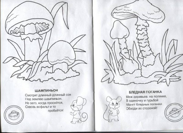 Съедобные грибы раскраска
