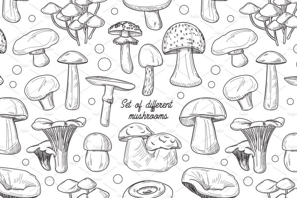 Раскраска грибы разные