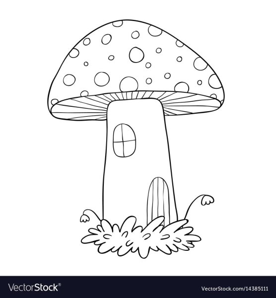 Раскраска грибы для детей 6-7 лет