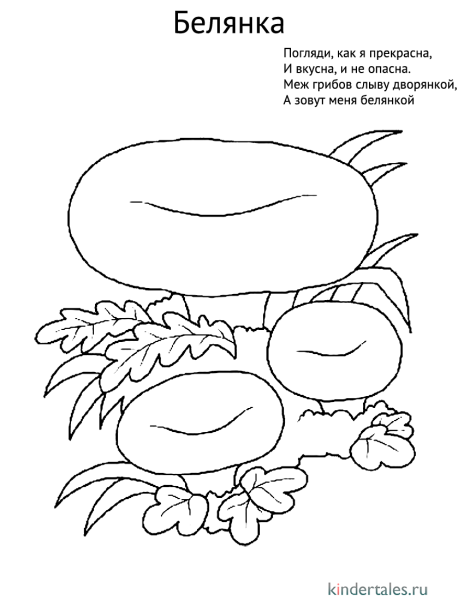 Съедобные грибы картинки раскраски