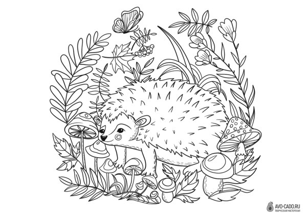 Раскраска Ёжик